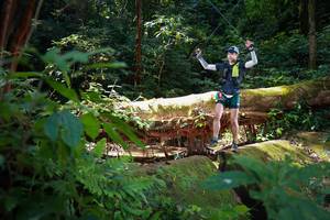 BIB: 
                            <button type="button" onclick="openModal(16016450)" class="btn btn-primary btn-sm float-right btn-popup" data-toggle="modal" data-target=".modal-high-quality">
                        <i class="fas fa-shopping-cart"></i> Add to Cart
                    </button>
                                            <button type="button" onclick="isThisMe(16016450, true)" class="btn btn-success btn-sm float-right btn-popup btn-isme hidden" data-toggle="tooltip" data-placement="bottom" title="นี่คือรูปของคุณใช่ไหม คลิกที่นี่เพื่อเอาเข้าอัลบั้ม">
                        <i class="fas fa-plus"></i> Add to album
                    </button>
                    <button type="button" onclick="isThisMe(16016450, false)" class="btn btn-warning btn-sm float-right btn-popup btn-isnotme hidden">
                        <i class="fas fa-ban"></i> Remove from album
                    </button>