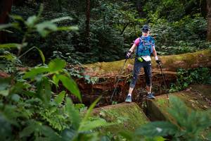 BIB: 
                            <button type="button" onclick="openModal(16019264)" class="btn btn-primary btn-sm float-right btn-popup" data-toggle="modal" data-target=".modal-high-quality">
                        <i class="fas fa-shopping-cart"></i> Add to Cart
                    </button>
                                            <button type="button" onclick="isThisMe(16019264, true)" class="btn btn-success btn-sm float-right btn-popup btn-isme hidden" data-toggle="tooltip" data-placement="bottom" title="นี่คือรูปของคุณใช่ไหม คลิกที่นี่เพื่อเอาเข้าอัลบั้ม">
                        <i class="fas fa-plus"></i> Add to album
                    </button>
                    <button type="button" onclick="isThisMe(16019264, false)" class="btn btn-warning btn-sm float-right btn-popup btn-isnotme hidden">
                        <i class="fas fa-ban"></i> Remove from album
                    </button>