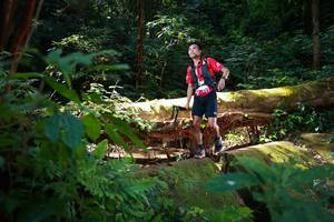 BIB: 
                            <button type="button" onclick="openModal(16016501)" class="btn btn-primary btn-sm float-right btn-popup" data-toggle="modal" data-target=".modal-high-quality">
                        <i class="fas fa-shopping-cart"></i> Add to Cart
                    </button>
                                            <button type="button" onclick="isThisMe(16016501, true)" class="btn btn-success btn-sm float-right btn-popup btn-isme hidden" data-toggle="tooltip" data-placement="bottom" title="นี่คือรูปของคุณใช่ไหม คลิกที่นี่เพื่อเอาเข้าอัลบั้ม">
                        <i class="fas fa-plus"></i> Add to album
                    </button>
                    <button type="button" onclick="isThisMe(16016501, false)" class="btn btn-warning btn-sm float-right btn-popup btn-isnotme hidden">
                        <i class="fas fa-ban"></i> Remove from album
                    </button>