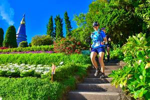 BIB: 3168
                            <button type="button" onclick="openModal(15934210)" class="btn btn-primary btn-sm float-right btn-popup" data-toggle="modal" data-target=".modal-high-quality">
                        <i class="fas fa-shopping-cart"></i> Add to Cart
                    </button>
                                            <button type="button" onclick="isThisMe(15934210, true)" class="btn btn-success btn-sm float-right btn-popup btn-isme hidden" data-toggle="tooltip" data-placement="bottom" title="นี่คือรูปของคุณใช่ไหม คลิกที่นี่เพื่อเอาเข้าอัลบั้ม">
                        <i class="fas fa-plus"></i> Add to album
                    </button>
                    <button type="button" onclick="isThisMe(15934210, false)" class="btn btn-warning btn-sm float-right btn-popup btn-isnotme hidden">
                        <i class="fas fa-ban"></i> Remove from album
                    </button>