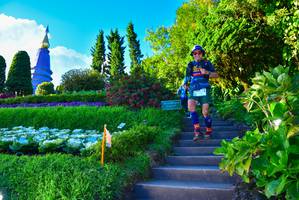 BIB: , 3544, 176
                            <button type="button" onclick="openModal(15935461)" class="btn btn-primary btn-sm float-right btn-popup" data-toggle="modal" data-target=".modal-high-quality">
                        <i class="fas fa-shopping-cart"></i> Add to Cart
                    </button>
                                            <button type="button" onclick="isThisMe(15935461, true)" class="btn btn-success btn-sm float-right btn-popup btn-isme hidden" data-toggle="tooltip" data-placement="bottom" title="นี่คือรูปของคุณใช่ไหม คลิกที่นี่เพื่อเอาเข้าอัลบั้ม">
                        <i class="fas fa-plus"></i> Add to album
                    </button>
                    <button type="button" onclick="isThisMe(15935461, false)" class="btn btn-warning btn-sm float-right btn-popup btn-isnotme hidden">
                        <i class="fas fa-ban"></i> Remove from album
                    </button>