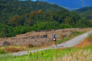 BIB: 1752
                            <button type="button" onclick="openModal(15912836)" class="btn btn-primary btn-sm float-right btn-popup" data-toggle="modal" data-target=".modal-high-quality">
                        <i class="fas fa-shopping-cart"></i> Add to Cart
                    </button>
                                            <button type="button" onclick="isThisMe(15912836, true)" class="btn btn-success btn-sm float-right btn-popup btn-isme hidden" data-toggle="tooltip" data-placement="bottom" title="นี่คือรูปของคุณใช่ไหม คลิกที่นี่เพื่อเอาเข้าอัลบั้ม">
                        <i class="fas fa-plus"></i> Add to album
                    </button>
                    <button type="button" onclick="isThisMe(15912836, false)" class="btn btn-warning btn-sm float-right btn-popup btn-isnotme hidden">
                        <i class="fas fa-ban"></i> Remove from album
                    </button>