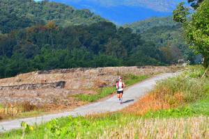 BIB: 1203
                            <button type="button" onclick="openModal(15912460)" class="btn btn-primary btn-sm float-right btn-popup" data-toggle="modal" data-target=".modal-high-quality">
                        <i class="fas fa-shopping-cart"></i> Add to Cart
                    </button>
                                            <button type="button" onclick="isThisMe(15912460, true)" class="btn btn-success btn-sm float-right btn-popup btn-isme hidden" data-toggle="tooltip" data-placement="bottom" title="นี่คือรูปของคุณใช่ไหม คลิกที่นี่เพื่อเอาเข้าอัลบั้ม">
                        <i class="fas fa-plus"></i> Add to album
                    </button>
                    <button type="button" onclick="isThisMe(15912460, false)" class="btn btn-warning btn-sm float-right btn-popup btn-isnotme hidden">
                        <i class="fas fa-ban"></i> Remove from album
                    </button>