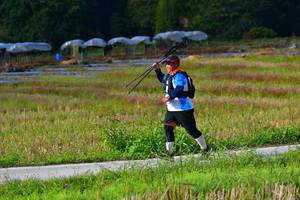 BIB: 
                            <button type="button" onclick="openModal(15913204)" class="btn btn-primary btn-sm float-right btn-popup" data-toggle="modal" data-target=".modal-high-quality">
                        <i class="fas fa-shopping-cart"></i> Add to Cart
                    </button>
                                            <button type="button" onclick="isThisMe(15913204, true)" class="btn btn-success btn-sm float-right btn-popup btn-isme hidden" data-toggle="tooltip" data-placement="bottom" title="นี่คือรูปของคุณใช่ไหม คลิกที่นี่เพื่อเอาเข้าอัลบั้ม">
                        <i class="fas fa-plus"></i> Add to album
                    </button>
                    <button type="button" onclick="isThisMe(15913204, false)" class="btn btn-warning btn-sm float-right btn-popup btn-isnotme hidden">
                        <i class="fas fa-ban"></i> Remove from album
                    </button>