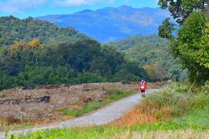 BIB: 1322
                            <button type="button" onclick="openModal(15912326)" class="btn btn-primary btn-sm float-right btn-popup" data-toggle="modal" data-target=".modal-high-quality">
                        <i class="fas fa-shopping-cart"></i> Add to Cart
                    </button>
                                            <button type="button" onclick="isThisMe(15912326, true)" class="btn btn-success btn-sm float-right btn-popup btn-isme hidden" data-toggle="tooltip" data-placement="bottom" title="นี่คือรูปของคุณใช่ไหม คลิกที่นี่เพื่อเอาเข้าอัลบั้ม">
                        <i class="fas fa-plus"></i> Add to album
                    </button>
                    <button type="button" onclick="isThisMe(15912326, false)" class="btn btn-warning btn-sm float-right btn-popup btn-isnotme hidden">
                        <i class="fas fa-ban"></i> Remove from album
                    </button>