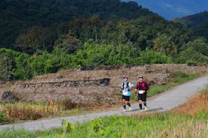 BIB: 1341, 1373
                            <button type="button" onclick="openModal(15912000)" class="btn btn-primary btn-sm float-right btn-popup" data-toggle="modal" data-target=".modal-high-quality">
                        <i class="fas fa-shopping-cart"></i> Add to Cart
                    </button>
                                            <button type="button" onclick="isThisMe(15912000, true)" class="btn btn-success btn-sm float-right btn-popup btn-isme hidden" data-toggle="tooltip" data-placement="bottom" title="นี่คือรูปของคุณใช่ไหม คลิกที่นี่เพื่อเอาเข้าอัลบั้ม">
                        <i class="fas fa-plus"></i> Add to album
                    </button>
                    <button type="button" onclick="isThisMe(15912000, false)" class="btn btn-warning btn-sm float-right btn-popup btn-isnotme hidden">
                        <i class="fas fa-ban"></i> Remove from album
                    </button>