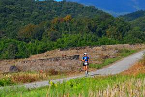 BIB: 1752
                            <button type="button" onclick="openModal(15912837)" class="btn btn-primary btn-sm float-right btn-popup" data-toggle="modal" data-target=".modal-high-quality">
                        <i class="fas fa-shopping-cart"></i> Add to Cart
                    </button>
                                            <button type="button" onclick="isThisMe(15912837, true)" class="btn btn-success btn-sm float-right btn-popup btn-isme hidden" data-toggle="tooltip" data-placement="bottom" title="นี่คือรูปของคุณใช่ไหม คลิกที่นี่เพื่อเอาเข้าอัลบั้ม">
                        <i class="fas fa-plus"></i> Add to album
                    </button>
                    <button type="button" onclick="isThisMe(15912837, false)" class="btn btn-warning btn-sm float-right btn-popup btn-isnotme hidden">
                        <i class="fas fa-ban"></i> Remove from album
                    </button>