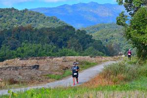 BIB: 1285, 1320
                            <button type="button" onclick="openModal(15912333)" class="btn btn-primary btn-sm float-right btn-popup" data-toggle="modal" data-target=".modal-high-quality">
                        <i class="fas fa-shopping-cart"></i> Add to Cart
                    </button>
                                            <button type="button" onclick="isThisMe(15912333, true)" class="btn btn-success btn-sm float-right btn-popup btn-isme hidden" data-toggle="tooltip" data-placement="bottom" title="นี่คือรูปของคุณใช่ไหม คลิกที่นี่เพื่อเอาเข้าอัลบั้ม">
                        <i class="fas fa-plus"></i> Add to album
                    </button>
                    <button type="button" onclick="isThisMe(15912333, false)" class="btn btn-warning btn-sm float-right btn-popup btn-isnotme hidden">
                        <i class="fas fa-ban"></i> Remove from album
                    </button>