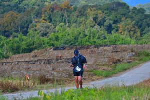 BIB: 1491
                            <button type="button" onclick="openModal(15912361)" class="btn btn-primary btn-sm float-right btn-popup" data-toggle="modal" data-target=".modal-high-quality">
                        <i class="fas fa-shopping-cart"></i> Add to Cart
                    </button>
                                            <button type="button" onclick="isThisMe(15912361, true)" class="btn btn-success btn-sm float-right btn-popup btn-isme hidden" data-toggle="tooltip" data-placement="bottom" title="นี่คือรูปของคุณใช่ไหม คลิกที่นี่เพื่อเอาเข้าอัลบั้ม">
                        <i class="fas fa-plus"></i> Add to album
                    </button>
                    <button type="button" onclick="isThisMe(15912361, false)" class="btn btn-warning btn-sm float-right btn-popup btn-isnotme hidden">
                        <i class="fas fa-ban"></i> Remove from album
                    </button>