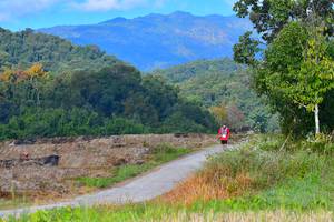 BIB: 
                            <button type="button" onclick="openModal(15912325)" class="btn btn-primary btn-sm float-right btn-popup" data-toggle="modal" data-target=".modal-high-quality">
                        <i class="fas fa-shopping-cart"></i> Add to Cart
                    </button>
                                            <button type="button" onclick="isThisMe(15912325, true)" class="btn btn-success btn-sm float-right btn-popup btn-isme hidden" data-toggle="tooltip" data-placement="bottom" title="นี่คือรูปของคุณใช่ไหม คลิกที่นี่เพื่อเอาเข้าอัลบั้ม">
                        <i class="fas fa-plus"></i> Add to album
                    </button>
                    <button type="button" onclick="isThisMe(15912325, false)" class="btn btn-warning btn-sm float-right btn-popup btn-isnotme hidden">
                        <i class="fas fa-ban"></i> Remove from album
                    </button>