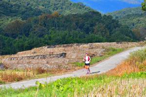 BIB: 1203
                            <button type="button" onclick="openModal(15912463)" class="btn btn-primary btn-sm float-right btn-popup" data-toggle="modal" data-target=".modal-high-quality">
                        <i class="fas fa-shopping-cart"></i> Add to Cart
                    </button>
                                            <button type="button" onclick="isThisMe(15912463, true)" class="btn btn-success btn-sm float-right btn-popup btn-isme hidden" data-toggle="tooltip" data-placement="bottom" title="นี่คือรูปของคุณใช่ไหม คลิกที่นี่เพื่อเอาเข้าอัลบั้ม">
                        <i class="fas fa-plus"></i> Add to album
                    </button>
                    <button type="button" onclick="isThisMe(15912463, false)" class="btn btn-warning btn-sm float-right btn-popup btn-isnotme hidden">
                        <i class="fas fa-ban"></i> Remove from album
                    </button>