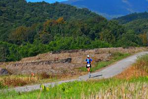 BIB: 1752
                            <button type="button" onclick="openModal(15912834)" class="btn btn-primary btn-sm float-right btn-popup" data-toggle="modal" data-target=".modal-high-quality">
                        <i class="fas fa-shopping-cart"></i> Add to Cart
                    </button>
                                            <button type="button" onclick="isThisMe(15912834, true)" class="btn btn-success btn-sm float-right btn-popup btn-isme hidden" data-toggle="tooltip" data-placement="bottom" title="นี่คือรูปของคุณใช่ไหม คลิกที่นี่เพื่อเอาเข้าอัลบั้ม">
                        <i class="fas fa-plus"></i> Add to album
                    </button>
                    <button type="button" onclick="isThisMe(15912834, false)" class="btn btn-warning btn-sm float-right btn-popup btn-isnotme hidden">
                        <i class="fas fa-ban"></i> Remove from album
                    </button>