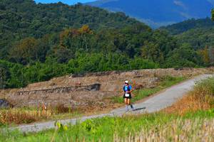 BIB: 1752
                            <button type="button" onclick="openModal(15912835)" class="btn btn-primary btn-sm float-right btn-popup" data-toggle="modal" data-target=".modal-high-quality">
                        <i class="fas fa-shopping-cart"></i> Add to Cart
                    </button>
                                            <button type="button" onclick="isThisMe(15912835, true)" class="btn btn-success btn-sm float-right btn-popup btn-isme hidden" data-toggle="tooltip" data-placement="bottom" title="นี่คือรูปของคุณใช่ไหม คลิกที่นี่เพื่อเอาเข้าอัลบั้ม">
                        <i class="fas fa-plus"></i> Add to album
                    </button>
                    <button type="button" onclick="isThisMe(15912835, false)" class="btn btn-warning btn-sm float-right btn-popup btn-isnotme hidden">
                        <i class="fas fa-ban"></i> Remove from album
                    </button>