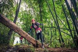 BIB: 1729
                            <button type="button" onclick="openModal(15933555)" class="btn btn-primary btn-sm float-right btn-popup" data-toggle="modal" data-target=".modal-high-quality">
                        <i class="fas fa-shopping-cart"></i> Add to Cart
                    </button>
                                            <button type="button" onclick="isThisMe(15933555, true)" class="btn btn-success btn-sm float-right btn-popup btn-isme hidden" data-toggle="tooltip" data-placement="bottom" title="นี่คือรูปของคุณใช่ไหม คลิกที่นี่เพื่อเอาเข้าอัลบั้ม">
                        <i class="fas fa-plus"></i> Add to album
                    </button>
                    <button type="button" onclick="isThisMe(15933555, false)" class="btn btn-warning btn-sm float-right btn-popup btn-isnotme hidden">
                        <i class="fas fa-ban"></i> Remove from album
                    </button>