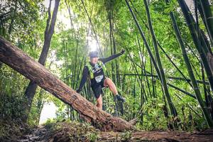 BIB: 1294
                            <button type="button" onclick="openModal(15935043)" class="btn btn-primary btn-sm float-right btn-popup" data-toggle="modal" data-target=".modal-high-quality">
                        <i class="fas fa-shopping-cart"></i> Add to Cart
                    </button>
                                            <button type="button" onclick="isThisMe(15935043, true)" class="btn btn-success btn-sm float-right btn-popup btn-isme hidden" data-toggle="tooltip" data-placement="bottom" title="นี่คือรูปของคุณใช่ไหม คลิกที่นี่เพื่อเอาเข้าอัลบั้ม">
                        <i class="fas fa-plus"></i> Add to album
                    </button>
                    <button type="button" onclick="isThisMe(15935043, false)" class="btn btn-warning btn-sm float-right btn-popup btn-isnotme hidden">
                        <i class="fas fa-ban"></i> Remove from album
                    </button>