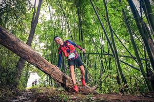 BIB: 1586
                            <button type="button" onclick="openModal(15933061)" class="btn btn-primary btn-sm float-right btn-popup" data-toggle="modal" data-target=".modal-high-quality">
                        <i class="fas fa-shopping-cart"></i> Add to Cart
                    </button>
                                            <button type="button" onclick="isThisMe(15933061, true)" class="btn btn-success btn-sm float-right btn-popup btn-isme hidden" data-toggle="tooltip" data-placement="bottom" title="นี่คือรูปของคุณใช่ไหม คลิกที่นี่เพื่อเอาเข้าอัลบั้ม">
                        <i class="fas fa-plus"></i> Add to album
                    </button>
                    <button type="button" onclick="isThisMe(15933061, false)" class="btn btn-warning btn-sm float-right btn-popup btn-isnotme hidden">
                        <i class="fas fa-ban"></i> Remove from album
                    </button>