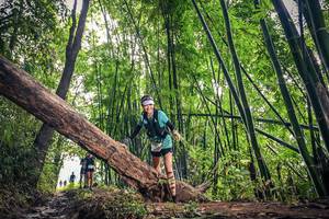 BIB: , 1748, 1354
                            <button type="button" onclick="openModal(15933481)" class="btn btn-primary btn-sm float-right btn-popup" data-toggle="modal" data-target=".modal-high-quality">
                        <i class="fas fa-shopping-cart"></i> Add to Cart
                    </button>
                                            <button type="button" onclick="isThisMe(15933481, true)" class="btn btn-success btn-sm float-right btn-popup btn-isme hidden" data-toggle="tooltip" data-placement="bottom" title="นี่คือรูปของคุณใช่ไหม คลิกที่นี่เพื่อเอาเข้าอัลบั้ม">
                        <i class="fas fa-plus"></i> Add to album
                    </button>
                    <button type="button" onclick="isThisMe(15933481, false)" class="btn btn-warning btn-sm float-right btn-popup btn-isnotme hidden">
                        <i class="fas fa-ban"></i> Remove from album
                    </button>