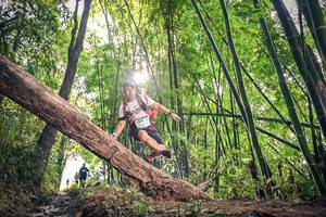 BIB: , 1336
                            <button type="button" onclick="openModal(15934742)" class="btn btn-primary btn-sm float-right btn-popup" data-toggle="modal" data-target=".modal-high-quality">
                        <i class="fas fa-shopping-cart"></i> Add to Cart
                    </button>
                                            <button type="button" onclick="isThisMe(15934742, true)" class="btn btn-success btn-sm float-right btn-popup btn-isme hidden" data-toggle="tooltip" data-placement="bottom" title="นี่คือรูปของคุณใช่ไหม คลิกที่นี่เพื่อเอาเข้าอัลบั้ม">
                        <i class="fas fa-plus"></i> Add to album
                    </button>
                    <button type="button" onclick="isThisMe(15934742, false)" class="btn btn-warning btn-sm float-right btn-popup btn-isnotme hidden">
                        <i class="fas fa-ban"></i> Remove from album
                    </button>