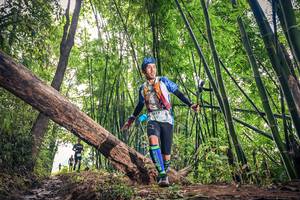 BIB: 1017, 173
                            <button type="button" onclick="openModal(15933078)" class="btn btn-primary btn-sm float-right btn-popup" data-toggle="modal" data-target=".modal-high-quality">
                        <i class="fas fa-shopping-cart"></i> Add to Cart
                    </button>
                                            <button type="button" onclick="isThisMe(15933078, true)" class="btn btn-success btn-sm float-right btn-popup btn-isme hidden" data-toggle="tooltip" data-placement="bottom" title="นี่คือรูปของคุณใช่ไหม คลิกที่นี่เพื่อเอาเข้าอัลบั้ม">
                        <i class="fas fa-plus"></i> Add to album
                    </button>
                    <button type="button" onclick="isThisMe(15933078, false)" class="btn btn-warning btn-sm float-right btn-popup btn-isnotme hidden">
                        <i class="fas fa-ban"></i> Remove from album
                    </button>