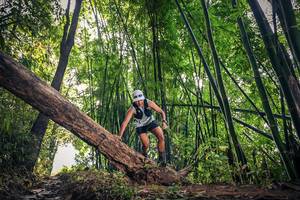 BIB: 1005
                            <button type="button" onclick="openModal(15932704)" class="btn btn-primary btn-sm float-right btn-popup" data-toggle="modal" data-target=".modal-high-quality">
                        <i class="fas fa-shopping-cart"></i> Add to Cart
                    </button>
                                            <button type="button" onclick="isThisMe(15932704, true)" class="btn btn-success btn-sm float-right btn-popup btn-isme hidden" data-toggle="tooltip" data-placement="bottom" title="นี่คือรูปของคุณใช่ไหม คลิกที่นี่เพื่อเอาเข้าอัลบั้ม">
                        <i class="fas fa-plus"></i> Add to album
                    </button>
                    <button type="button" onclick="isThisMe(15932704, false)" class="btn btn-warning btn-sm float-right btn-popup btn-isnotme hidden">
                        <i class="fas fa-ban"></i> Remove from album
                    </button>