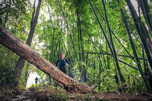 BIB: 
                            <button type="button" onclick="openModal(15932744)" class="btn btn-primary btn-sm float-right btn-popup" data-toggle="modal" data-target=".modal-high-quality">
                        <i class="fas fa-shopping-cart"></i> Add to Cart
                    </button>
                                            <button type="button" onclick="isThisMe(15932744, true)" class="btn btn-success btn-sm float-right btn-popup btn-isme hidden" data-toggle="tooltip" data-placement="bottom" title="นี่คือรูปของคุณใช่ไหม คลิกที่นี่เพื่อเอาเข้าอัลบั้ม">
                        <i class="fas fa-plus"></i> Add to album
                    </button>
                    <button type="button" onclick="isThisMe(15932744, false)" class="btn btn-warning btn-sm float-right btn-popup btn-isnotme hidden">
                        <i class="fas fa-ban"></i> Remove from album
                    </button>