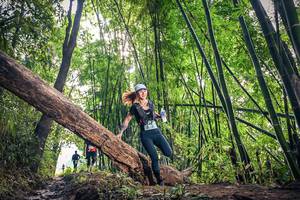 BIB: 310
                            <button type="button" onclick="openModal(15934942)" class="btn btn-primary btn-sm float-right btn-popup" data-toggle="modal" data-target=".modal-high-quality">
                        <i class="fas fa-shopping-cart"></i> Add to Cart
                    </button>
                                            <button type="button" onclick="isThisMe(15934942, true)" class="btn btn-success btn-sm float-right btn-popup btn-isme hidden" data-toggle="tooltip" data-placement="bottom" title="นี่คือรูปของคุณใช่ไหม คลิกที่นี่เพื่อเอาเข้าอัลบั้ม">
                        <i class="fas fa-plus"></i> Add to album
                    </button>
                    <button type="button" onclick="isThisMe(15934942, false)" class="btn btn-warning btn-sm float-right btn-popup btn-isnotme hidden">
                        <i class="fas fa-ban"></i> Remove from album
                    </button>