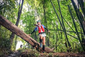 BIB: 1513
                            <button type="button" onclick="openModal(15934584)" class="btn btn-primary btn-sm float-right btn-popup" data-toggle="modal" data-target=".modal-high-quality">
                        <i class="fas fa-shopping-cart"></i> Add to Cart
                    </button>
                                            <button type="button" onclick="isThisMe(15934584, true)" class="btn btn-success btn-sm float-right btn-popup btn-isme hidden" data-toggle="tooltip" data-placement="bottom" title="นี่คือรูปของคุณใช่ไหม คลิกที่นี่เพื่อเอาเข้าอัลบั้ม">
                        <i class="fas fa-plus"></i> Add to album
                    </button>
                    <button type="button" onclick="isThisMe(15934584, false)" class="btn btn-warning btn-sm float-right btn-popup btn-isnotme hidden">
                        <i class="fas fa-ban"></i> Remove from album
                    </button>