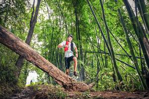 BIB: , 1006
                            <button type="button" onclick="openModal(15932531)" class="btn btn-primary btn-sm float-right btn-popup" data-toggle="modal" data-target=".modal-high-quality">
                        <i class="fas fa-shopping-cart"></i> Add to Cart
                    </button>
                                            <button type="button" onclick="isThisMe(15932531, true)" class="btn btn-success btn-sm float-right btn-popup btn-isme hidden" data-toggle="tooltip" data-placement="bottom" title="นี่คือรูปของคุณใช่ไหม คลิกที่นี่เพื่อเอาเข้าอัลบั้ม">
                        <i class="fas fa-plus"></i> Add to album
                    </button>
                    <button type="button" onclick="isThisMe(15932531, false)" class="btn btn-warning btn-sm float-right btn-popup btn-isnotme hidden">
                        <i class="fas fa-ban"></i> Remove from album
                    </button>