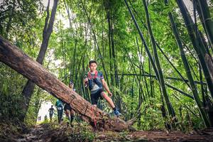 BIB: 13571
                            <button type="button" onclick="openModal(15932812)" class="btn btn-primary btn-sm float-right btn-popup" data-toggle="modal" data-target=".modal-high-quality">
                        <i class="fas fa-shopping-cart"></i> Add to Cart
                    </button>
                                            <button type="button" onclick="isThisMe(15932812, true)" class="btn btn-success btn-sm float-right btn-popup btn-isme hidden" data-toggle="tooltip" data-placement="bottom" title="นี่คือรูปของคุณใช่ไหม คลิกที่นี่เพื่อเอาเข้าอัลบั้ม">
                        <i class="fas fa-plus"></i> Add to album
                    </button>
                    <button type="button" onclick="isThisMe(15932812, false)" class="btn btn-warning btn-sm float-right btn-popup btn-isnotme hidden">
                        <i class="fas fa-ban"></i> Remove from album
                    </button>