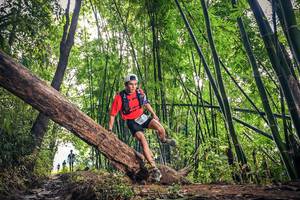 BIB: 
                            <button type="button" onclick="openModal(15933467)" class="btn btn-primary btn-sm float-right btn-popup" data-toggle="modal" data-target=".modal-high-quality">
                        <i class="fas fa-shopping-cart"></i> Add to Cart
                    </button>
                                            <button type="button" onclick="isThisMe(15933467, true)" class="btn btn-success btn-sm float-right btn-popup btn-isme hidden" data-toggle="tooltip" data-placement="bottom" title="นี่คือรูปของคุณใช่ไหม คลิกที่นี่เพื่อเอาเข้าอัลบั้ม">
                        <i class="fas fa-plus"></i> Add to album
                    </button>
                    <button type="button" onclick="isThisMe(15933467, false)" class="btn btn-warning btn-sm float-right btn-popup btn-isnotme hidden">
                        <i class="fas fa-ban"></i> Remove from album
                    </button>