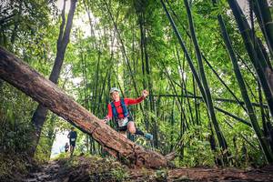 BIB: 1236
                            <button type="button" onclick="openModal(15934523)" class="btn btn-primary btn-sm float-right btn-popup" data-toggle="modal" data-target=".modal-high-quality">
                        <i class="fas fa-shopping-cart"></i> Add to Cart
                    </button>
                                            <button type="button" onclick="isThisMe(15934523, true)" class="btn btn-success btn-sm float-right btn-popup btn-isme hidden" data-toggle="tooltip" data-placement="bottom" title="นี่คือรูปของคุณใช่ไหม คลิกที่นี่เพื่อเอาเข้าอัลบั้ม">
                        <i class="fas fa-plus"></i> Add to album
                    </button>
                    <button type="button" onclick="isThisMe(15934523, false)" class="btn btn-warning btn-sm float-right btn-popup btn-isnotme hidden">
                        <i class="fas fa-ban"></i> Remove from album
                    </button>