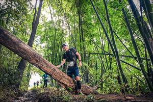 BIB: 1181
                            <button type="button" onclick="openModal(15934429)" class="btn btn-primary btn-sm float-right btn-popup" data-toggle="modal" data-target=".modal-high-quality">
                        <i class="fas fa-shopping-cart"></i> Add to Cart
                    </button>
                                            <button type="button" onclick="isThisMe(15934429, true)" class="btn btn-success btn-sm float-right btn-popup btn-isme hidden" data-toggle="tooltip" data-placement="bottom" title="นี่คือรูปของคุณใช่ไหม คลิกที่นี่เพื่อเอาเข้าอัลบั้ม">
                        <i class="fas fa-plus"></i> Add to album
                    </button>
                    <button type="button" onclick="isThisMe(15934429, false)" class="btn btn-warning btn-sm float-right btn-popup btn-isnotme hidden">
                        <i class="fas fa-ban"></i> Remove from album
                    </button>