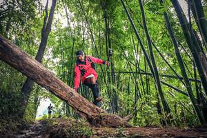 BIB: 
                            <button type="button" onclick="openModal(15933557)" class="btn btn-primary btn-sm float-right btn-popup" data-toggle="modal" data-target=".modal-high-quality">
                        <i class="fas fa-shopping-cart"></i> Add to Cart
                    </button>
                                            <button type="button" onclick="isThisMe(15933557, true)" class="btn btn-success btn-sm float-right btn-popup btn-isme hidden" data-toggle="tooltip" data-placement="bottom" title="นี่คือรูปของคุณใช่ไหม คลิกที่นี่เพื่อเอาเข้าอัลบั้ม">
                        <i class="fas fa-plus"></i> Add to album
                    </button>
                    <button type="button" onclick="isThisMe(15933557, false)" class="btn btn-warning btn-sm float-right btn-popup btn-isnotme hidden">
                        <i class="fas fa-ban"></i> Remove from album
                    </button>