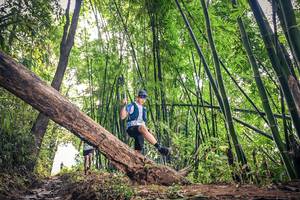 BIB: , 1049
                            <button type="button" onclick="openModal(15933000)" class="btn btn-primary btn-sm float-right btn-popup" data-toggle="modal" data-target=".modal-high-quality">
                        <i class="fas fa-shopping-cart"></i> Add to Cart
                    </button>
                                            <button type="button" onclick="isThisMe(15933000, true)" class="btn btn-success btn-sm float-right btn-popup btn-isme hidden" data-toggle="tooltip" data-placement="bottom" title="นี่คือรูปของคุณใช่ไหม คลิกที่นี่เพื่อเอาเข้าอัลบั้ม">
                        <i class="fas fa-plus"></i> Add to album
                    </button>
                    <button type="button" onclick="isThisMe(15933000, false)" class="btn btn-warning btn-sm float-right btn-popup btn-isnotme hidden">
                        <i class="fas fa-ban"></i> Remove from album
                    </button>