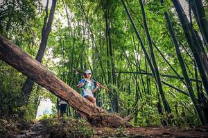 BIB: 
                            <button type="button" onclick="openModal(15933415)" class="btn btn-primary btn-sm float-right btn-popup" data-toggle="modal" data-target=".modal-high-quality">
                        <i class="fas fa-shopping-cart"></i> Add to Cart
                    </button>
                                            <button type="button" onclick="isThisMe(15933415, true)" class="btn btn-success btn-sm float-right btn-popup btn-isme hidden" data-toggle="tooltip" data-placement="bottom" title="นี่คือรูปของคุณใช่ไหม คลิกที่นี่เพื่อเอาเข้าอัลบั้ม">
                        <i class="fas fa-plus"></i> Add to album
                    </button>
                    <button type="button" onclick="isThisMe(15933415, false)" class="btn btn-warning btn-sm float-right btn-popup btn-isnotme hidden">
                        <i class="fas fa-ban"></i> Remove from album
                    </button>