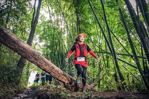 BIB: 1384
                            <button type="button" onclick="openModal(15934929)" class="btn btn-primary btn-sm float-right btn-popup" data-toggle="modal" data-target=".modal-high-quality">
                        <i class="fas fa-shopping-cart"></i> Add to Cart
                    </button>
                                            <button type="button" onclick="isThisMe(15934929, true)" class="btn btn-success btn-sm float-right btn-popup btn-isme hidden" data-toggle="tooltip" data-placement="bottom" title="นี่คือรูปของคุณใช่ไหม คลิกที่นี่เพื่อเอาเข้าอัลบั้ม">
                        <i class="fas fa-plus"></i> Add to album
                    </button>
                    <button type="button" onclick="isThisMe(15934929, false)" class="btn btn-warning btn-sm float-right btn-popup btn-isnotme hidden">
                        <i class="fas fa-ban"></i> Remove from album
                    </button>