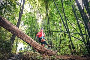 BIB: 
                            <button type="button" onclick="openModal(15934839)" class="btn btn-primary btn-sm float-right btn-popup" data-toggle="modal" data-target=".modal-high-quality">
                        <i class="fas fa-shopping-cart"></i> Add to Cart
                    </button>
                                            <button type="button" onclick="isThisMe(15934839, true)" class="btn btn-success btn-sm float-right btn-popup btn-isme hidden" data-toggle="tooltip" data-placement="bottom" title="นี่คือรูปของคุณใช่ไหม คลิกที่นี่เพื่อเอาเข้าอัลบั้ม">
                        <i class="fas fa-plus"></i> Add to album
                    </button>
                    <button type="button" onclick="isThisMe(15934839, false)" class="btn btn-warning btn-sm float-right btn-popup btn-isnotme hidden">
                        <i class="fas fa-ban"></i> Remove from album
                    </button>