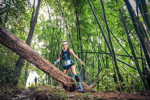 BIB: , 1530
                            <button type="button" onclick="openModal(15933130)" class="btn btn-primary btn-sm float-right btn-popup" data-toggle="modal" data-target=".modal-high-quality">
                        <i class="fas fa-shopping-cart"></i> Add to Cart
                    </button>
                                            <button type="button" onclick="isThisMe(15933130, true)" class="btn btn-success btn-sm float-right btn-popup btn-isme hidden" data-toggle="tooltip" data-placement="bottom" title="นี่คือรูปของคุณใช่ไหม คลิกที่นี่เพื่อเอาเข้าอัลบั้ม">
                        <i class="fas fa-plus"></i> Add to album
                    </button>
                    <button type="button" onclick="isThisMe(15933130, false)" class="btn btn-warning btn-sm float-right btn-popup btn-isnotme hidden">
                        <i class="fas fa-ban"></i> Remove from album
                    </button>