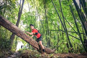 BIB: 
                            <button type="button" onclick="openModal(15935018)" class="btn btn-primary btn-sm float-right btn-popup" data-toggle="modal" data-target=".modal-high-quality">
                        <i class="fas fa-shopping-cart"></i> Add to Cart
                    </button>
                                            <button type="button" onclick="isThisMe(15935018, true)" class="btn btn-success btn-sm float-right btn-popup btn-isme hidden" data-toggle="tooltip" data-placement="bottom" title="นี่คือรูปของคุณใช่ไหม คลิกที่นี่เพื่อเอาเข้าอัลบั้ม">
                        <i class="fas fa-plus"></i> Add to album
                    </button>
                    <button type="button" onclick="isThisMe(15935018, false)" class="btn btn-warning btn-sm float-right btn-popup btn-isnotme hidden">
                        <i class="fas fa-ban"></i> Remove from album
                    </button>