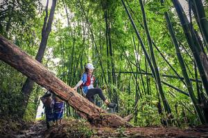 BIB: 
                            <button type="button" onclick="openModal(15933586)" class="btn btn-primary btn-sm float-right btn-popup" data-toggle="modal" data-target=".modal-high-quality">
                        <i class="fas fa-shopping-cart"></i> Add to Cart
                    </button>
                                            <button type="button" onclick="isThisMe(15933586, true)" class="btn btn-success btn-sm float-right btn-popup btn-isme hidden" data-toggle="tooltip" data-placement="bottom" title="นี่คือรูปของคุณใช่ไหม คลิกที่นี่เพื่อเอาเข้าอัลบั้ม">
                        <i class="fas fa-plus"></i> Add to album
                    </button>
                    <button type="button" onclick="isThisMe(15933586, false)" class="btn btn-warning btn-sm float-right btn-popup btn-isnotme hidden">
                        <i class="fas fa-ban"></i> Remove from album
                    </button>