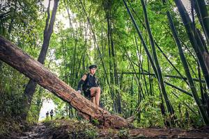 BIB: 
                            <button type="button" onclick="openModal(15934461)" class="btn btn-primary btn-sm float-right btn-popup" data-toggle="modal" data-target=".modal-high-quality">
                        <i class="fas fa-shopping-cart"></i> Add to Cart
                    </button>
                                            <button type="button" onclick="isThisMe(15934461, true)" class="btn btn-success btn-sm float-right btn-popup btn-isme hidden" data-toggle="tooltip" data-placement="bottom" title="นี่คือรูปของคุณใช่ไหม คลิกที่นี่เพื่อเอาเข้าอัลบั้ม">
                        <i class="fas fa-plus"></i> Add to album
                    </button>
                    <button type="button" onclick="isThisMe(15934461, false)" class="btn btn-warning btn-sm float-right btn-popup btn-isnotme hidden">
                        <i class="fas fa-ban"></i> Remove from album
                    </button>