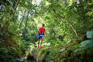 BIB: 
                            <button type="button" onclick="openModal(15938937)" class="btn btn-primary btn-sm float-right btn-popup" data-toggle="modal" data-target=".modal-high-quality">
                        <i class="fas fa-shopping-cart"></i> Add to Cart
                    </button>
                                            <button type="button" onclick="isThisMe(15938937, true)" class="btn btn-success btn-sm float-right btn-popup btn-isme hidden" data-toggle="tooltip" data-placement="bottom" title="นี่คือรูปของคุณใช่ไหม คลิกที่นี่เพื่อเอาเข้าอัลบั้ม">
                        <i class="fas fa-plus"></i> Add to album
                    </button>
                    <button type="button" onclick="isThisMe(15938937, false)" class="btn btn-warning btn-sm float-right btn-popup btn-isnotme hidden">
                        <i class="fas fa-ban"></i> Remove from album
                    </button>