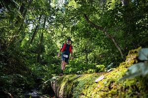 BIB: 5033
                            <button type="button" onclick="openModal(15939812)" class="btn btn-primary btn-sm float-right btn-popup" data-toggle="modal" data-target=".modal-high-quality">
                        <i class="fas fa-shopping-cart"></i> Add to Cart
                    </button>
                                            <button type="button" onclick="isThisMe(15939812, true)" class="btn btn-success btn-sm float-right btn-popup btn-isme hidden" data-toggle="tooltip" data-placement="bottom" title="นี่คือรูปของคุณใช่ไหม คลิกที่นี่เพื่อเอาเข้าอัลบั้ม">
                        <i class="fas fa-plus"></i> Add to album
                    </button>
                    <button type="button" onclick="isThisMe(15939812, false)" class="btn btn-warning btn-sm float-right btn-popup btn-isnotme hidden">
                        <i class="fas fa-ban"></i> Remove from album
                    </button>