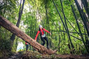 BIB: 1484, 1585
                            <button type="button" onclick="openModal(15934857)" class="btn btn-primary btn-sm float-right btn-popup" data-toggle="modal" data-target=".modal-high-quality">
                        <i class="fas fa-shopping-cart"></i> Add to Cart
                    </button>
                                            <button type="button" onclick="isThisMe(15934857, true)" class="btn btn-success btn-sm float-right btn-popup btn-isme hidden" data-toggle="tooltip" data-placement="bottom" title="นี่คือรูปของคุณใช่ไหม คลิกที่นี่เพื่อเอาเข้าอัลบั้ม">
                        <i class="fas fa-plus"></i> Add to album
                    </button>
                    <button type="button" onclick="isThisMe(15934857, false)" class="btn btn-warning btn-sm float-right btn-popup btn-isnotme hidden">
                        <i class="fas fa-ban"></i> Remove from album
                    </button>