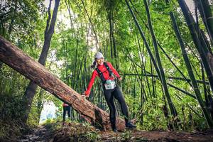 BIB: 1484
                            <button type="button" onclick="openModal(15934865)" class="btn btn-primary btn-sm float-right btn-popup" data-toggle="modal" data-target=".modal-high-quality">
                        <i class="fas fa-shopping-cart"></i> Add to Cart
                    </button>
                                            <button type="button" onclick="isThisMe(15934865, true)" class="btn btn-success btn-sm float-right btn-popup btn-isme hidden" data-toggle="tooltip" data-placement="bottom" title="นี่คือรูปของคุณใช่ไหม คลิกที่นี่เพื่อเอาเข้าอัลบั้ม">
                        <i class="fas fa-plus"></i> Add to album
                    </button>
                    <button type="button" onclick="isThisMe(15934865, false)" class="btn btn-warning btn-sm float-right btn-popup btn-isnotme hidden">
                        <i class="fas fa-ban"></i> Remove from album
                    </button>