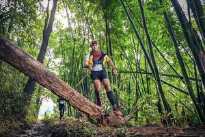 BIB: 211
                            <button type="button" onclick="openModal(15934499)" class="btn btn-primary btn-sm float-right btn-popup" data-toggle="modal" data-target=".modal-high-quality">
                        <i class="fas fa-shopping-cart"></i> Add to Cart
                    </button>
                                            <button type="button" onclick="isThisMe(15934499, true)" class="btn btn-success btn-sm float-right btn-popup btn-isme hidden" data-toggle="tooltip" data-placement="bottom" title="นี่คือรูปของคุณใช่ไหม คลิกที่นี่เพื่อเอาเข้าอัลบั้ม">
                        <i class="fas fa-plus"></i> Add to album
                    </button>
                    <button type="button" onclick="isThisMe(15934499, false)" class="btn btn-warning btn-sm float-right btn-popup btn-isnotme hidden">
                        <i class="fas fa-ban"></i> Remove from album
                    </button>