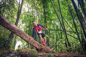 BIB: 1586
                            <button type="button" onclick="openModal(15933056)" class="btn btn-primary btn-sm float-right btn-popup" data-toggle="modal" data-target=".modal-high-quality">
                        <i class="fas fa-shopping-cart"></i> Add to Cart
                    </button>
                                            <button type="button" onclick="isThisMe(15933056, true)" class="btn btn-success btn-sm float-right btn-popup btn-isme hidden" data-toggle="tooltip" data-placement="bottom" title="นี่คือรูปของคุณใช่ไหม คลิกที่นี่เพื่อเอาเข้าอัลบั้ม">
                        <i class="fas fa-plus"></i> Add to album
                    </button>
                    <button type="button" onclick="isThisMe(15933056, false)" class="btn btn-warning btn-sm float-right btn-popup btn-isnotme hidden">
                        <i class="fas fa-ban"></i> Remove from album
                    </button>