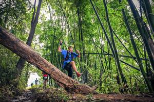 BIB: 1559
                            <button type="button" onclick="openModal(15933462)" class="btn btn-primary btn-sm float-right btn-popup" data-toggle="modal" data-target=".modal-high-quality">
                        <i class="fas fa-shopping-cart"></i> Add to Cart
                    </button>
                                            <button type="button" onclick="isThisMe(15933462, true)" class="btn btn-success btn-sm float-right btn-popup btn-isme hidden" data-toggle="tooltip" data-placement="bottom" title="นี่คือรูปของคุณใช่ไหม คลิกที่นี่เพื่อเอาเข้าอัลบั้ม">
                        <i class="fas fa-plus"></i> Add to album
                    </button>
                    <button type="button" onclick="isThisMe(15933462, false)" class="btn btn-warning btn-sm float-right btn-popup btn-isnotme hidden">
                        <i class="fas fa-ban"></i> Remove from album
                    </button>