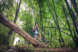 BIB: 1606
                            <button type="button" onclick="openModal(15932854)" class="btn btn-primary btn-sm float-right btn-popup" data-toggle="modal" data-target=".modal-high-quality">
                        <i class="fas fa-shopping-cart"></i> Add to Cart
                    </button>
                                            <button type="button" onclick="isThisMe(15932854, true)" class="btn btn-success btn-sm float-right btn-popup btn-isme hidden" data-toggle="tooltip" data-placement="bottom" title="นี่คือรูปของคุณใช่ไหม คลิกที่นี่เพื่อเอาเข้าอัลบั้ม">
                        <i class="fas fa-plus"></i> Add to album
                    </button>
                    <button type="button" onclick="isThisMe(15932854, false)" class="btn btn-warning btn-sm float-right btn-popup btn-isnotme hidden">
                        <i class="fas fa-ban"></i> Remove from album
                    </button>