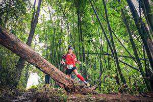 BIB: 501, 1047
                            <button type="button" onclick="openModal(15933163)" class="btn btn-primary btn-sm float-right btn-popup" data-toggle="modal" data-target=".modal-high-quality">
                        <i class="fas fa-shopping-cart"></i> Add to Cart
                    </button>
                                            <button type="button" onclick="isThisMe(15933163, true)" class="btn btn-success btn-sm float-right btn-popup btn-isme hidden" data-toggle="tooltip" data-placement="bottom" title="นี่คือรูปของคุณใช่ไหม คลิกที่นี่เพื่อเอาเข้าอัลบั้ม">
                        <i class="fas fa-plus"></i> Add to album
                    </button>
                    <button type="button" onclick="isThisMe(15933163, false)" class="btn btn-warning btn-sm float-right btn-popup btn-isnotme hidden">
                        <i class="fas fa-ban"></i> Remove from album
                    </button>